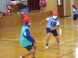 IMG_3242 IMG_3242