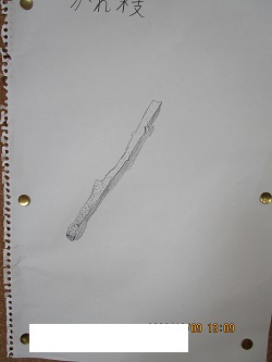 IMG_0179 IMG_0179