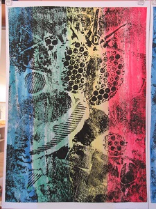 IMG_3528 IMG_3528