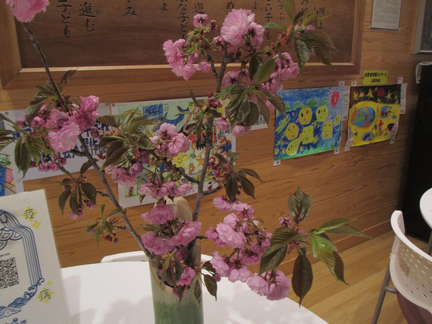 IMG_6653 IMG_6653