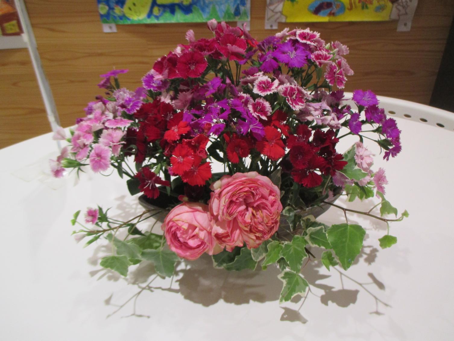 IMG_6802 IMG_6802