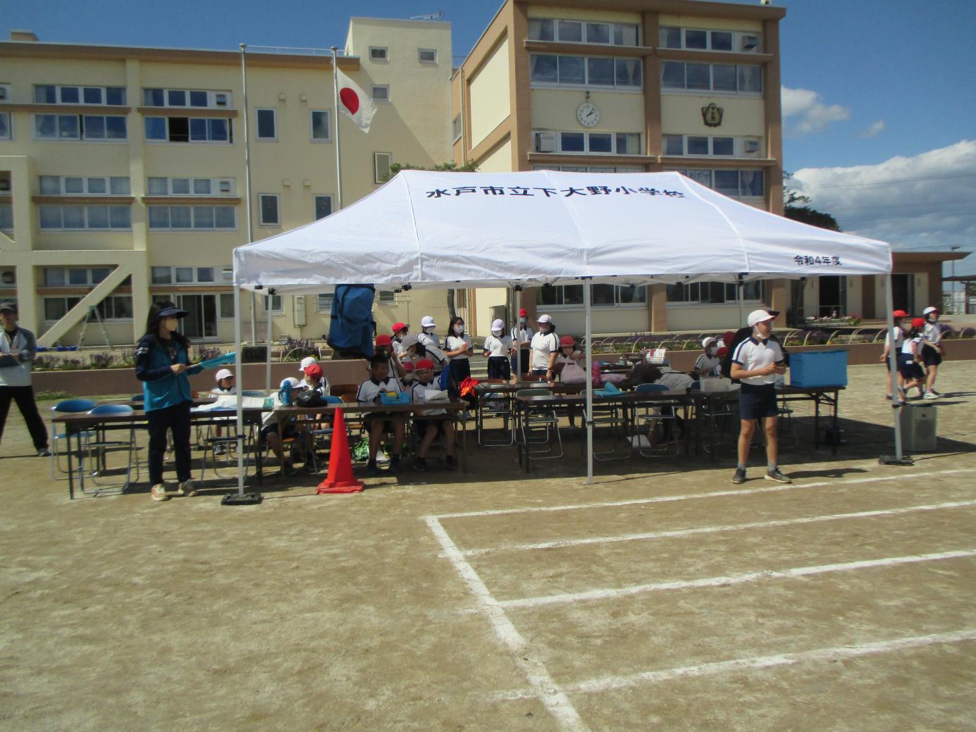 IMG_6943 IMG_6943