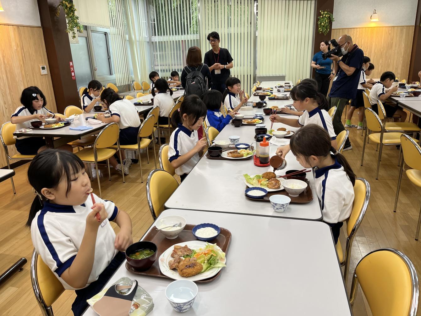 IMG_0352 IMG_0352