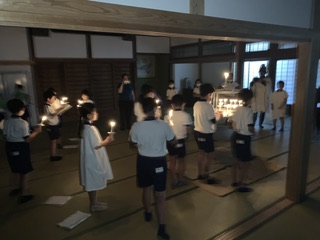 IMG_4239 IMG_4239