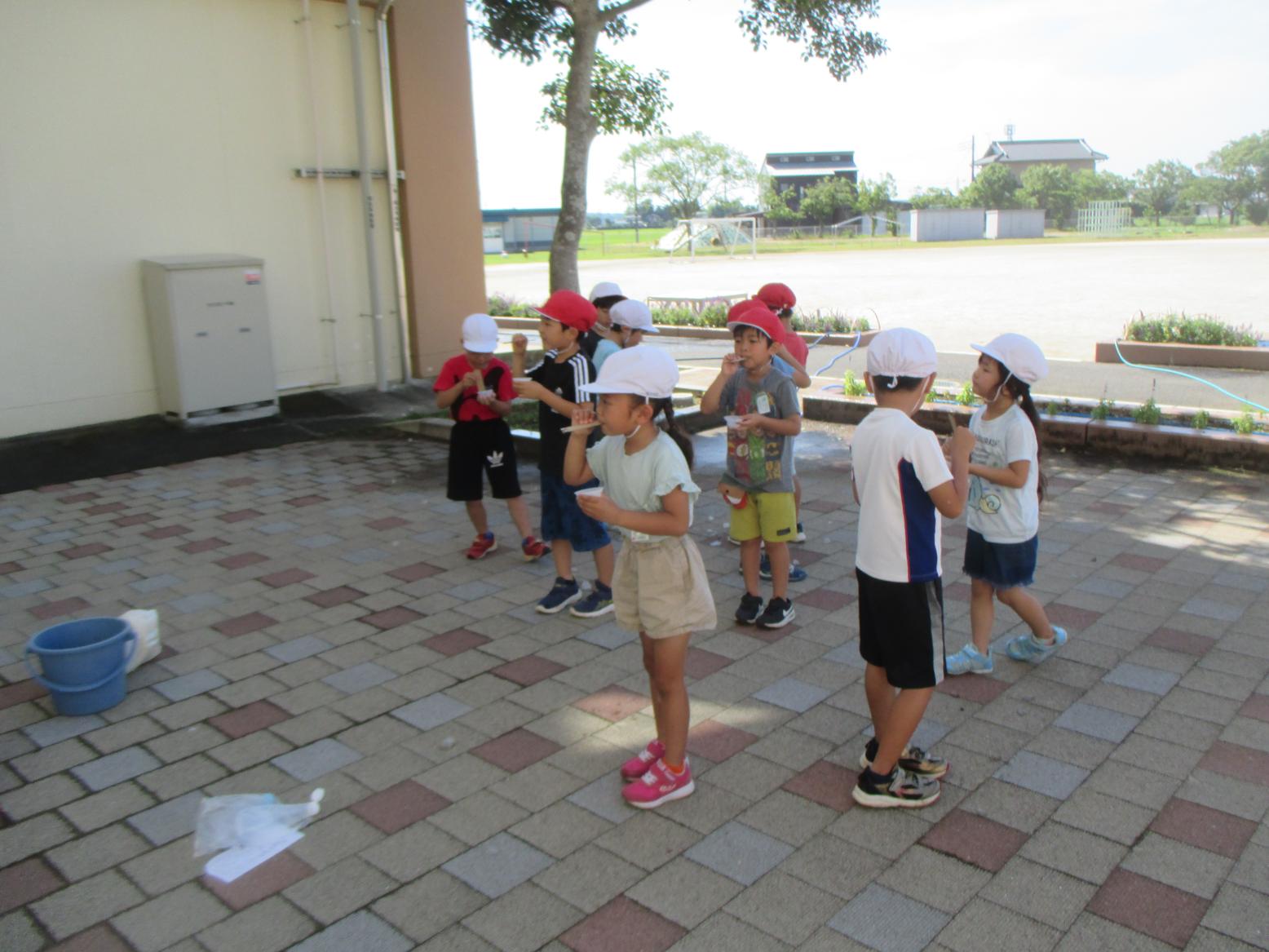 IMG_7139 IMG_7139