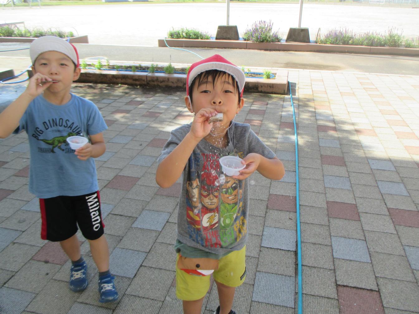 IMG_7141 IMG_7141