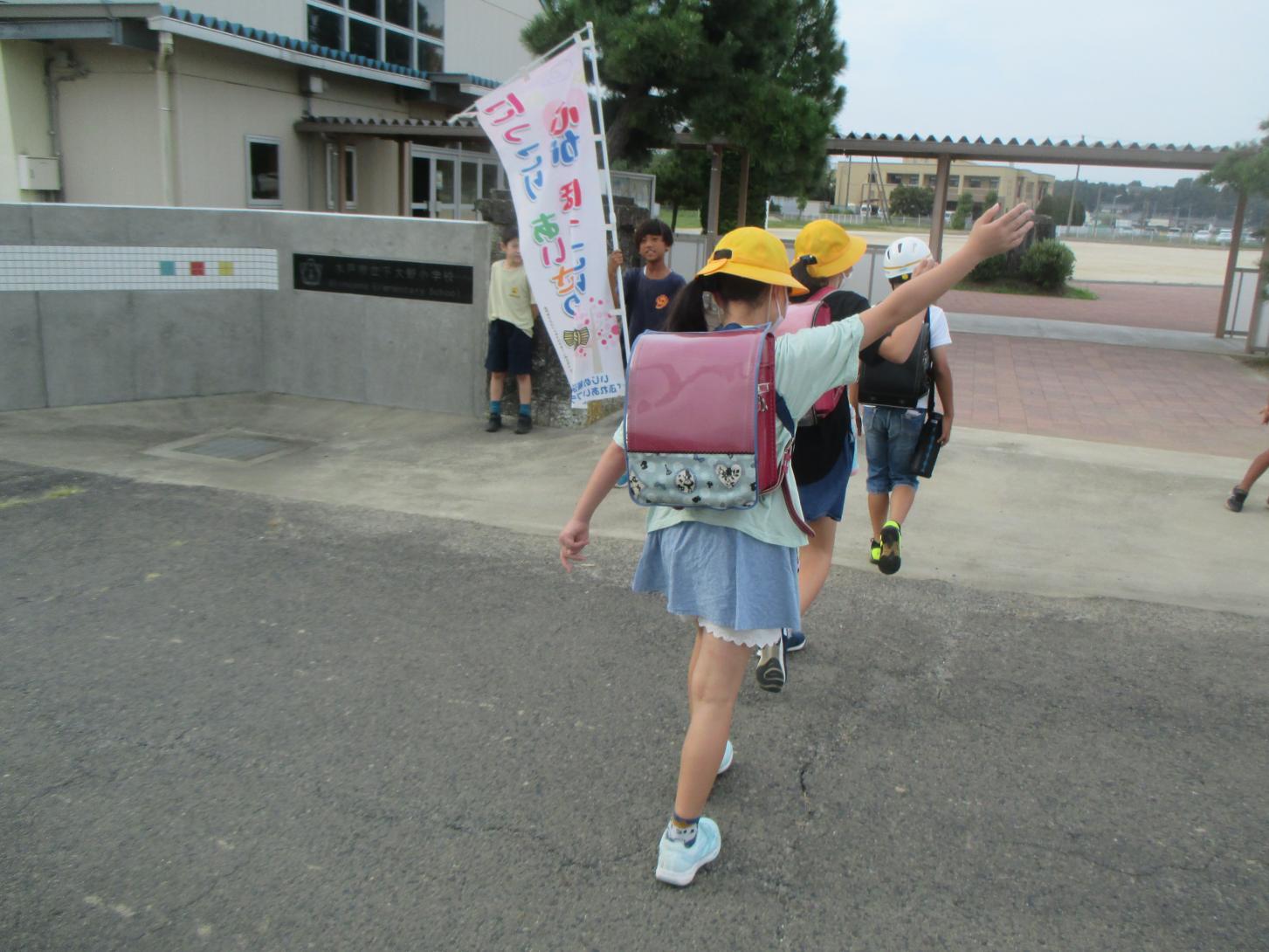 IMG_7438 IMG_7438