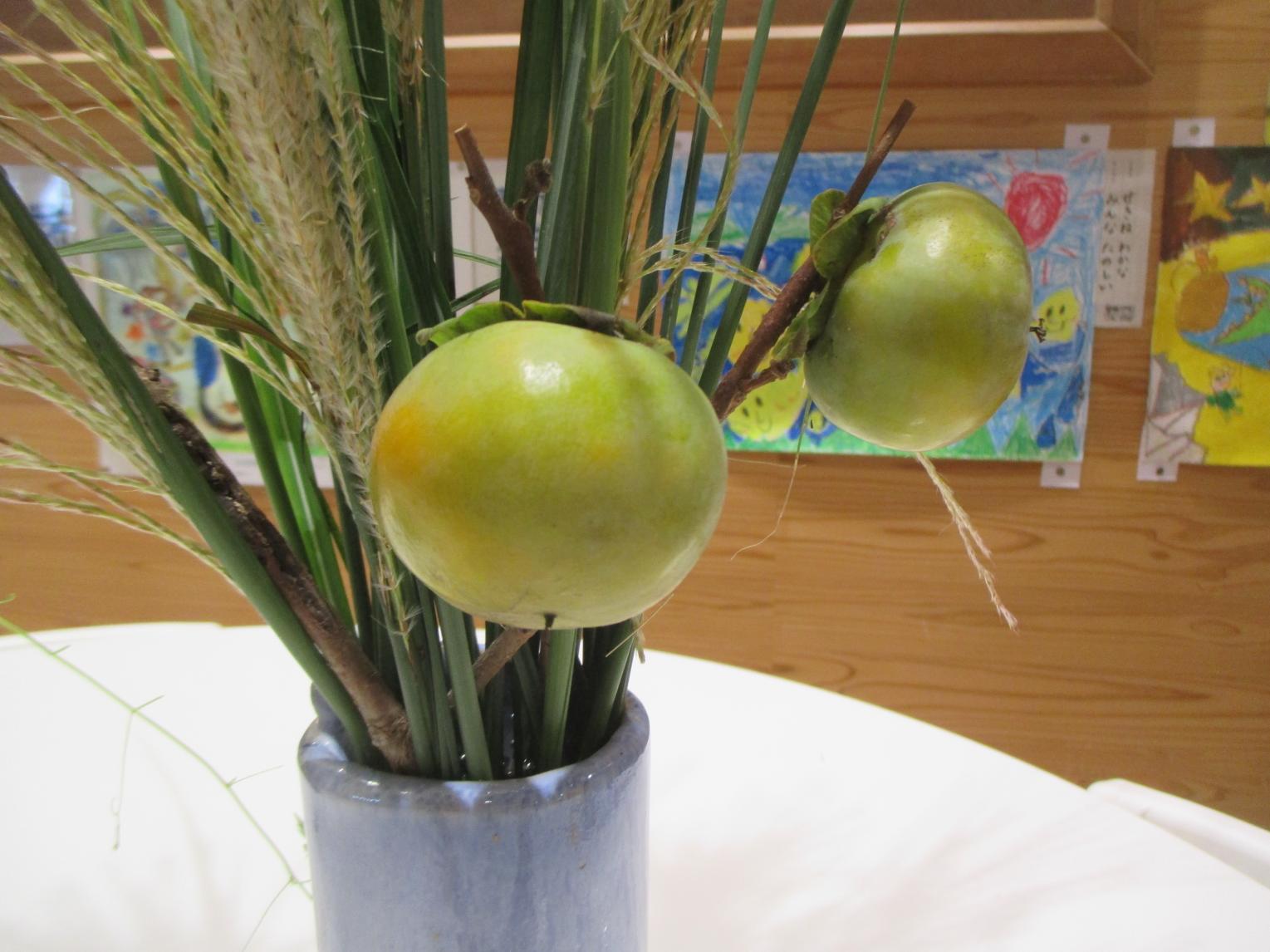 IMG_7470 IMG_7470