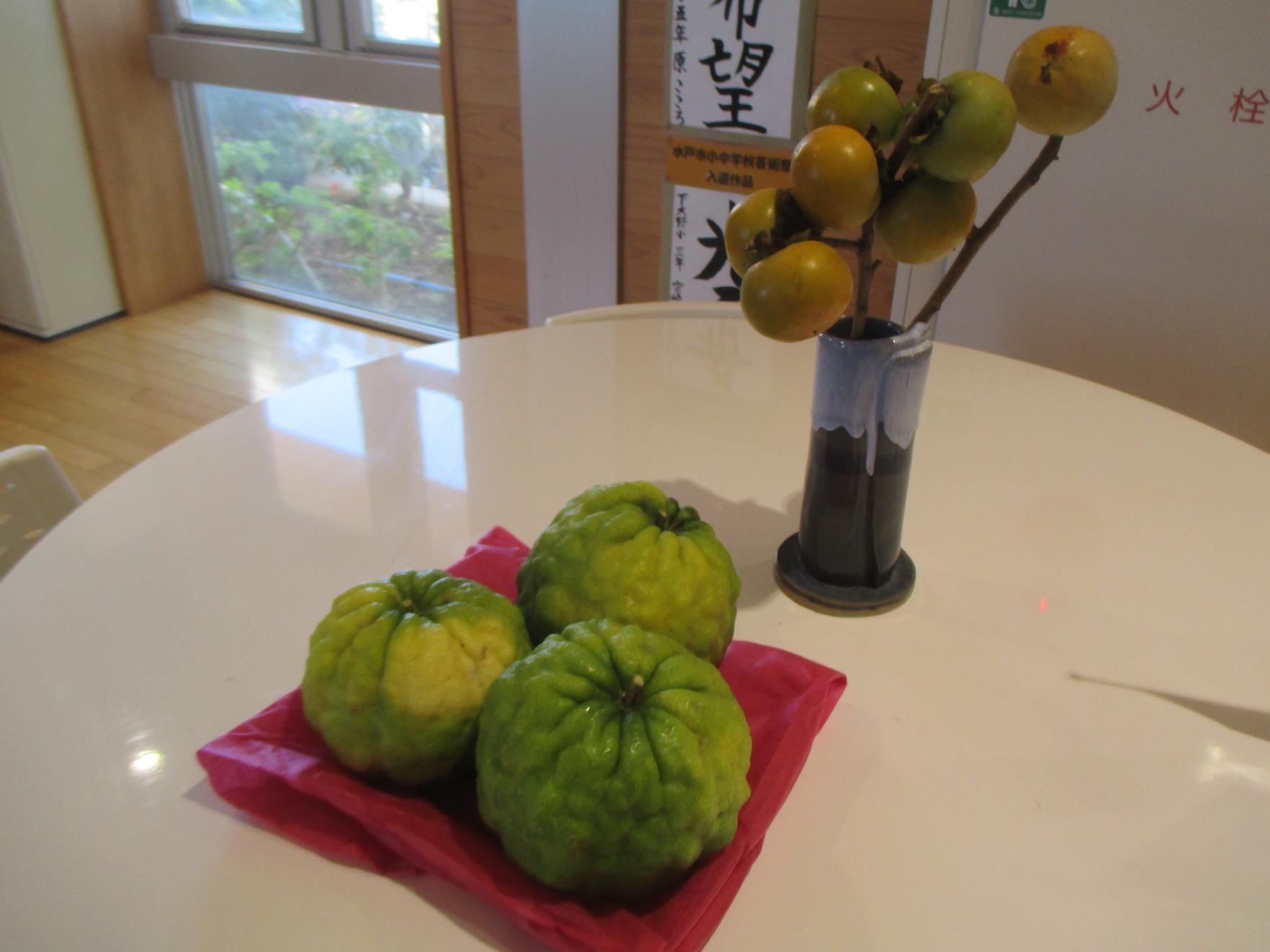 IMG_0098 IMG_0098