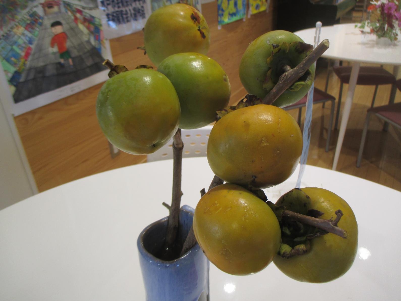 IMG_0100 IMG_0100