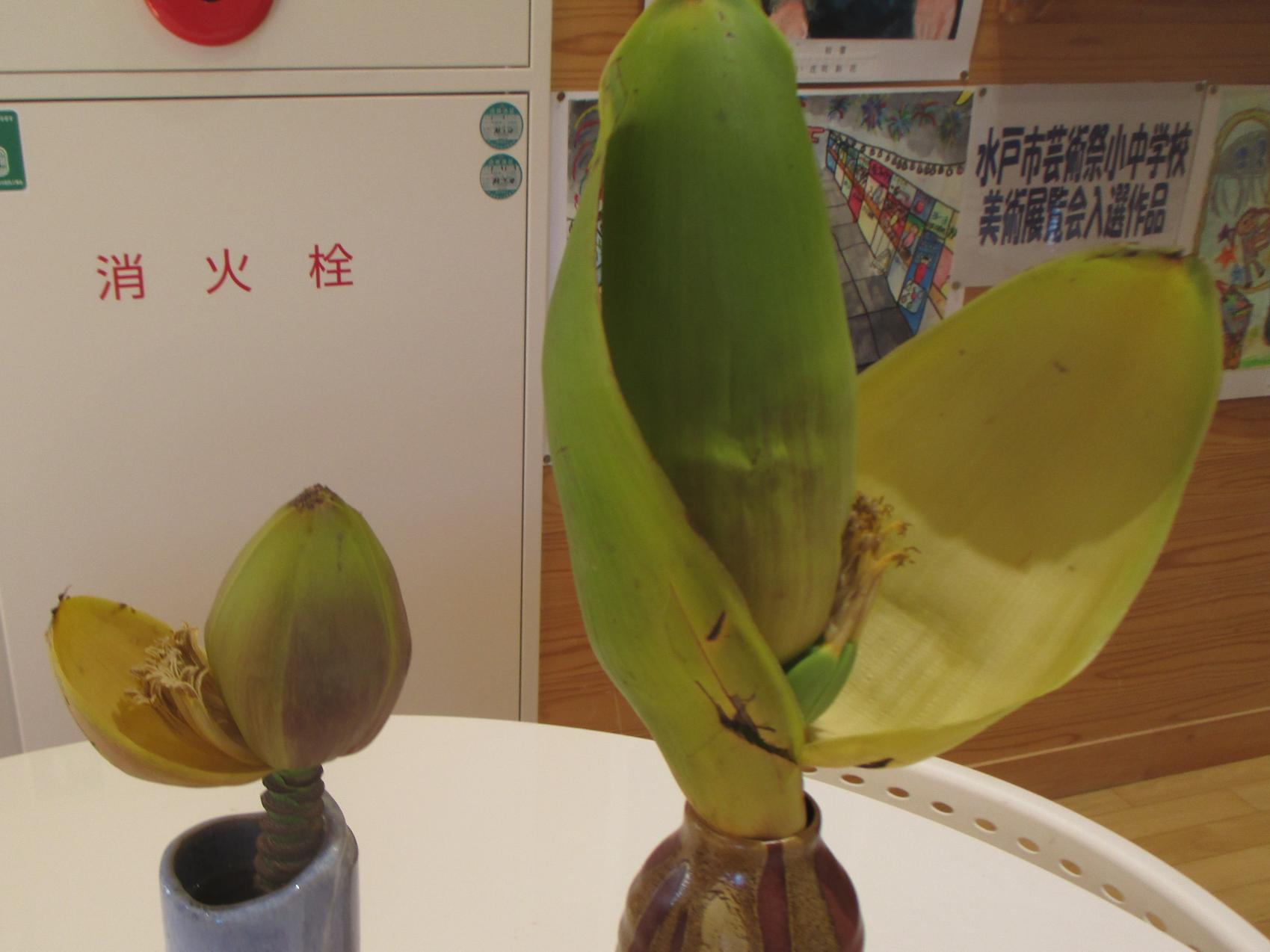 IMG_0306 IMG_0306