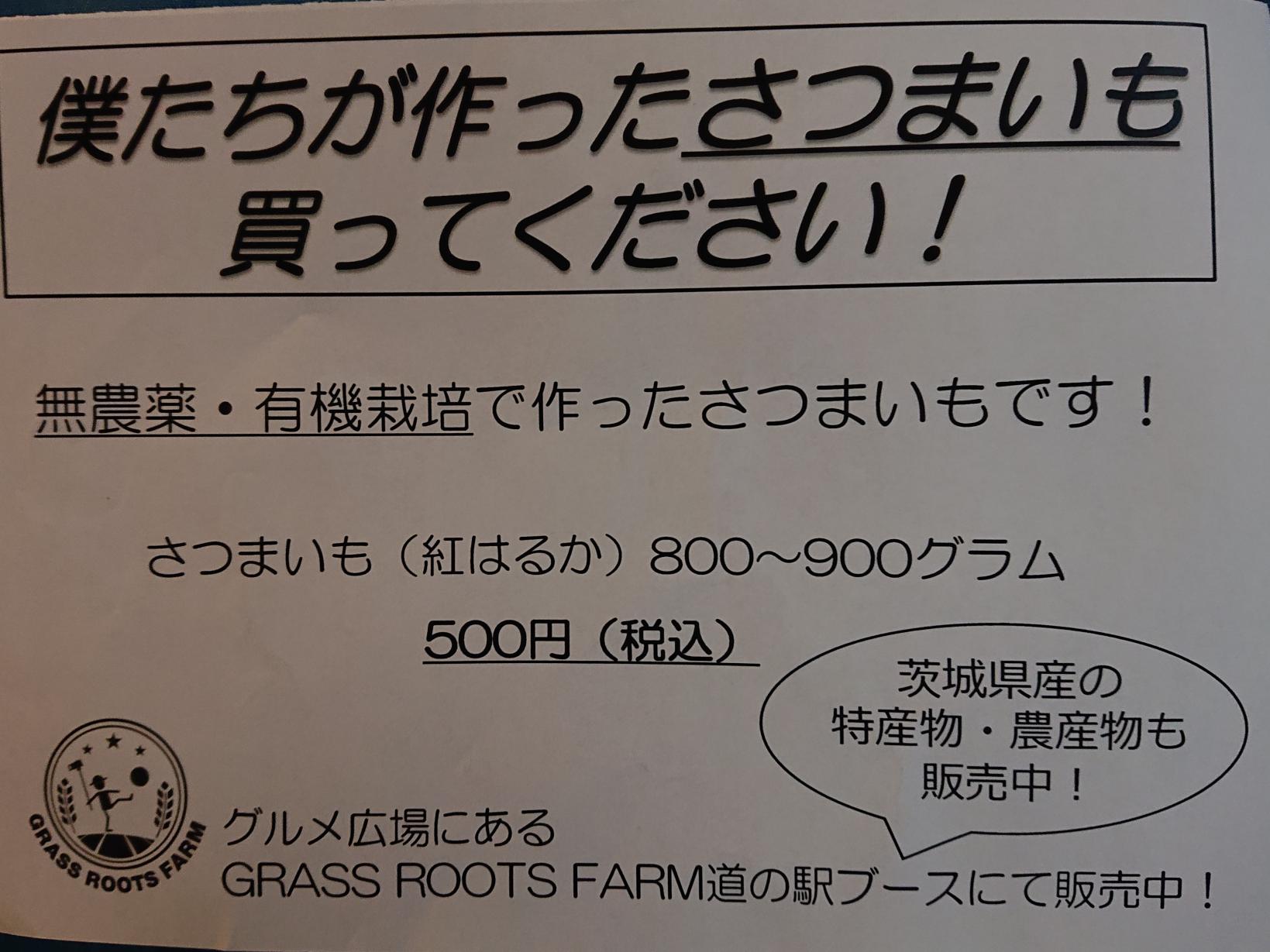 _20231113_054937 _20231113_054937