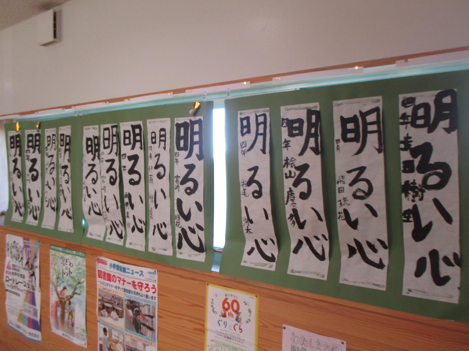 IMG_0800 IMG_0800