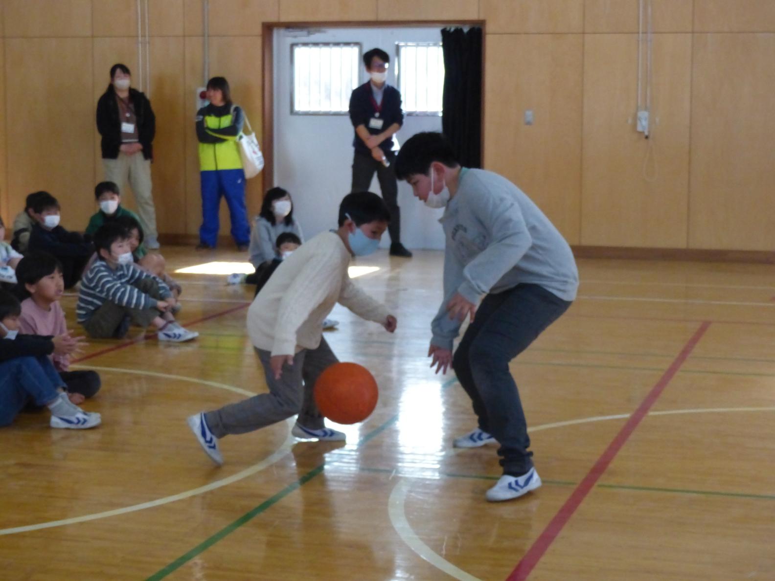 P1050808 P1050808