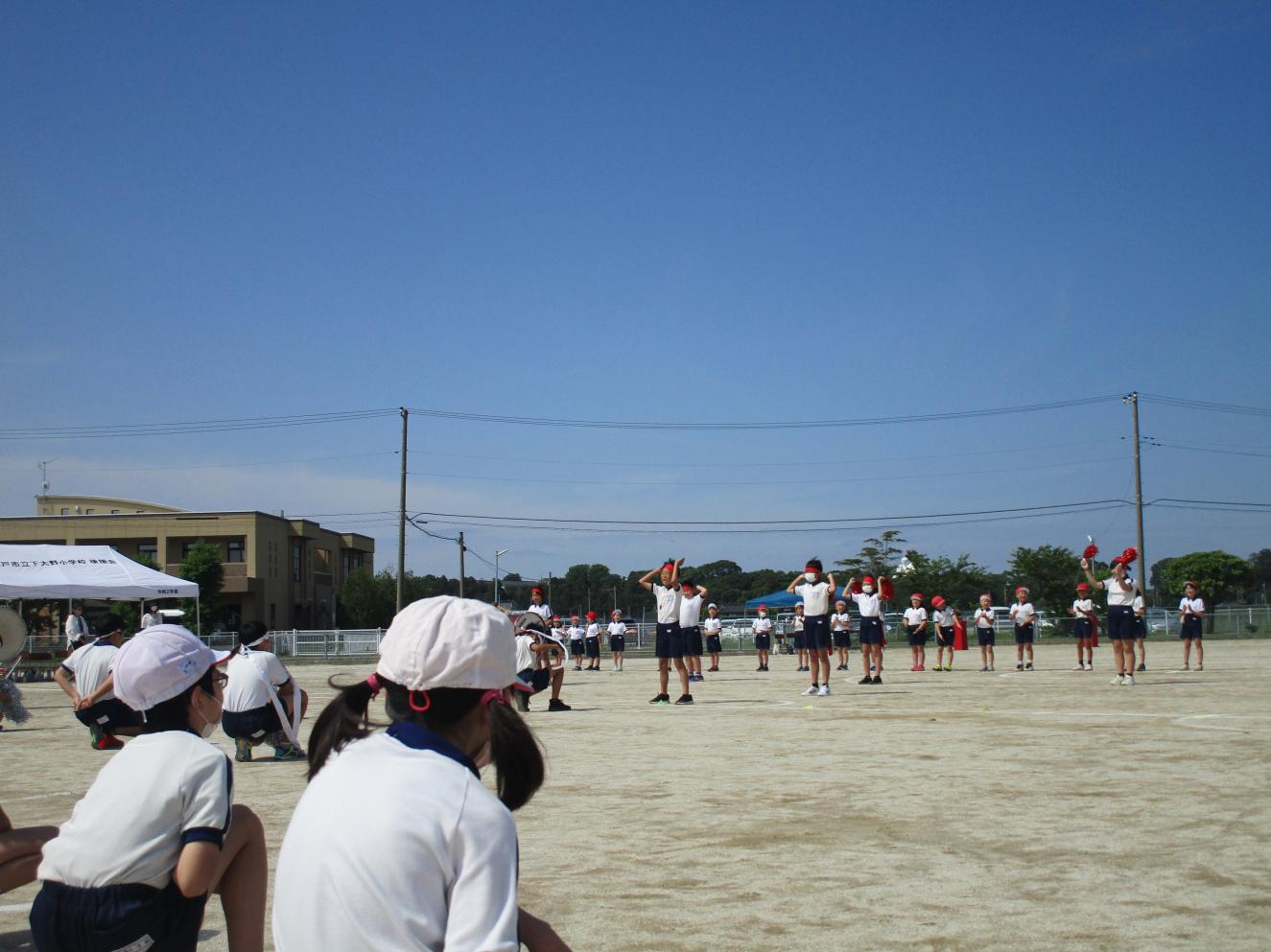 IMG_0801 IMG_0801