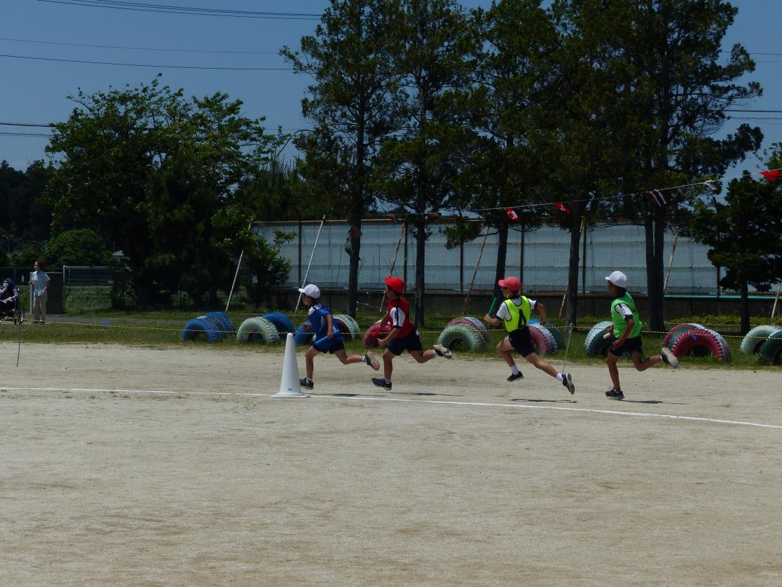 P1060481 P1060481