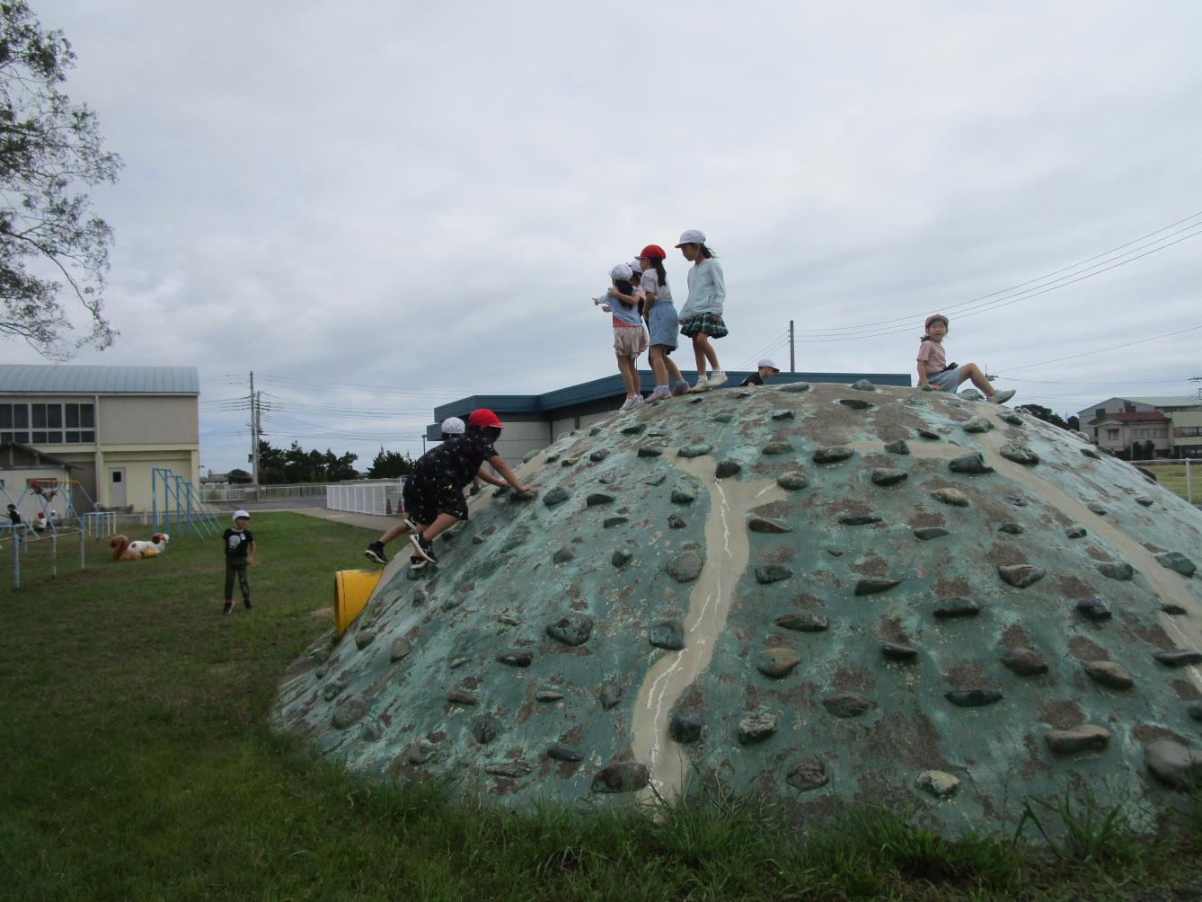 IMG_1443 IMG_1443