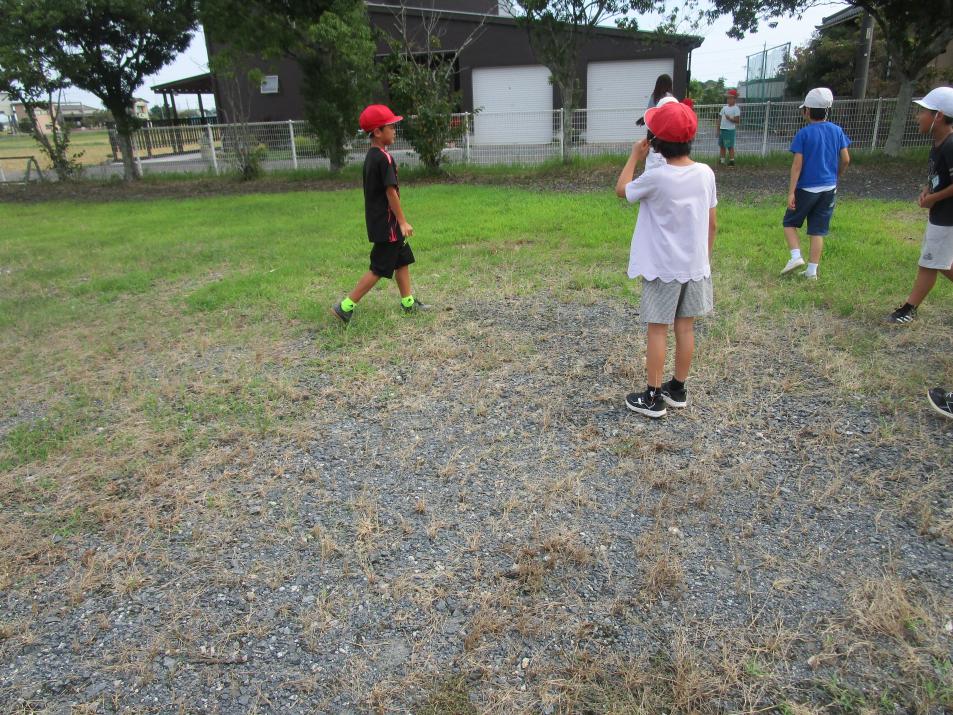 IMG_1523 IMG_1523