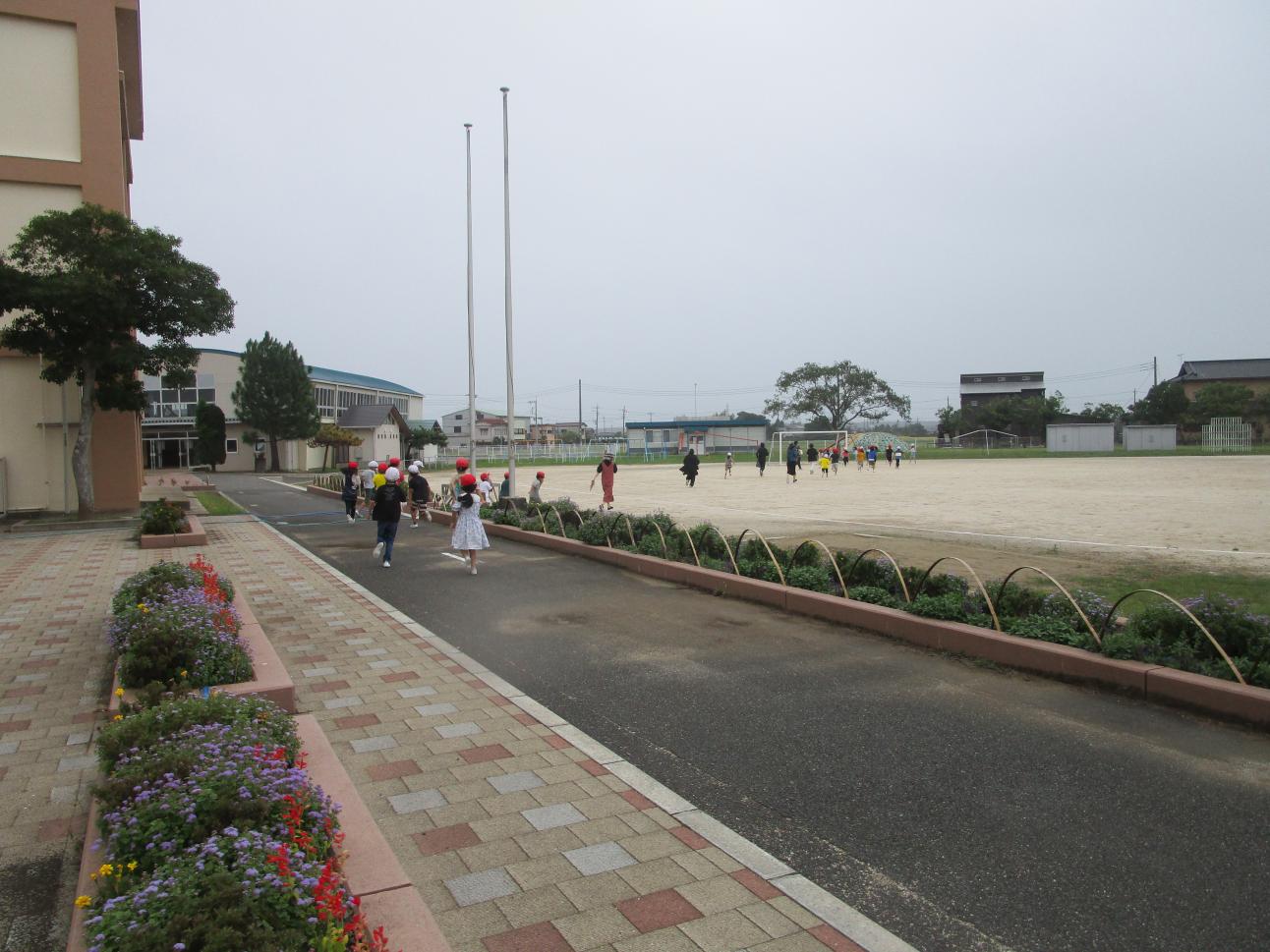 IMG_1554 IMG_1554