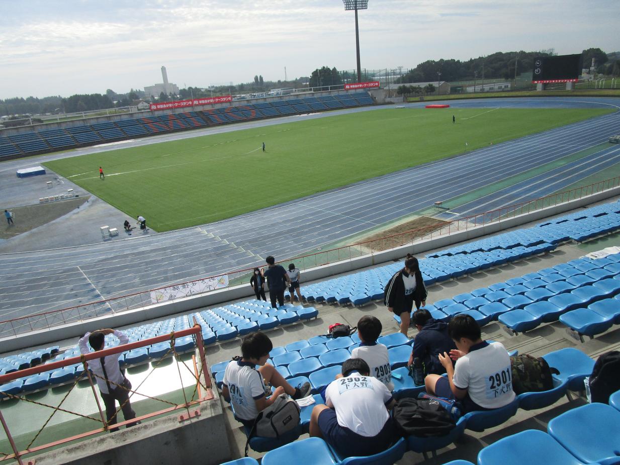 IMG_1686 IMG_1686