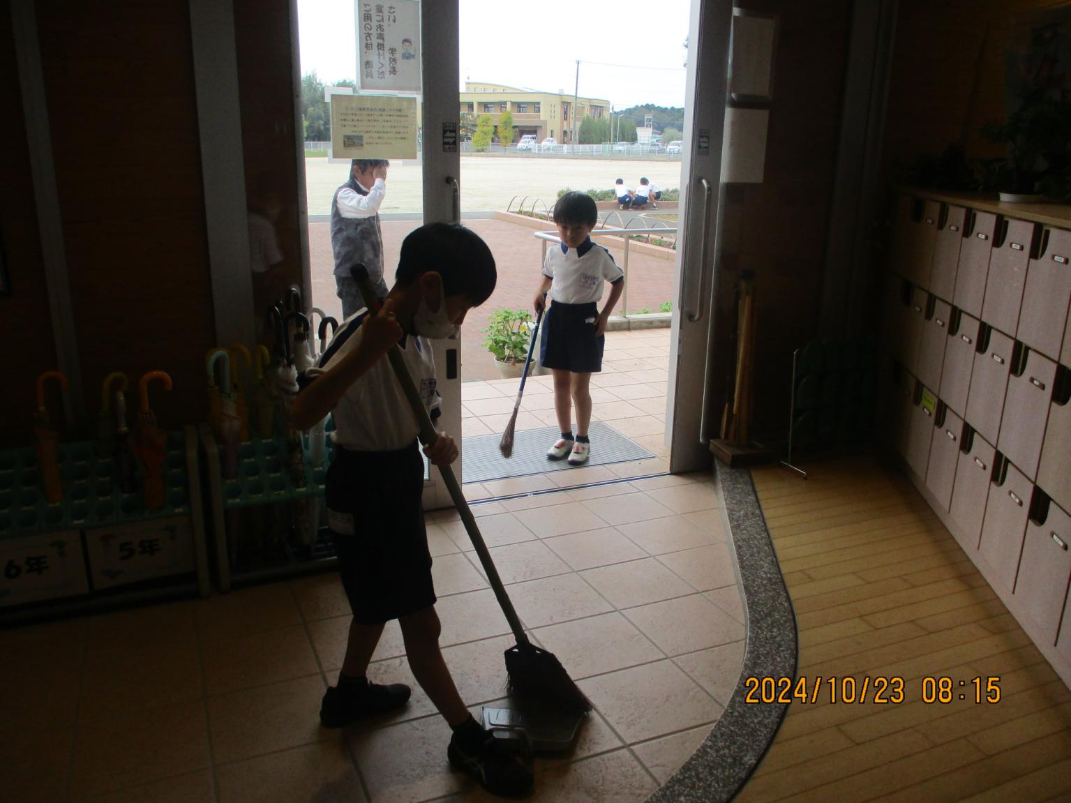 IMG_6937 IMG_6937