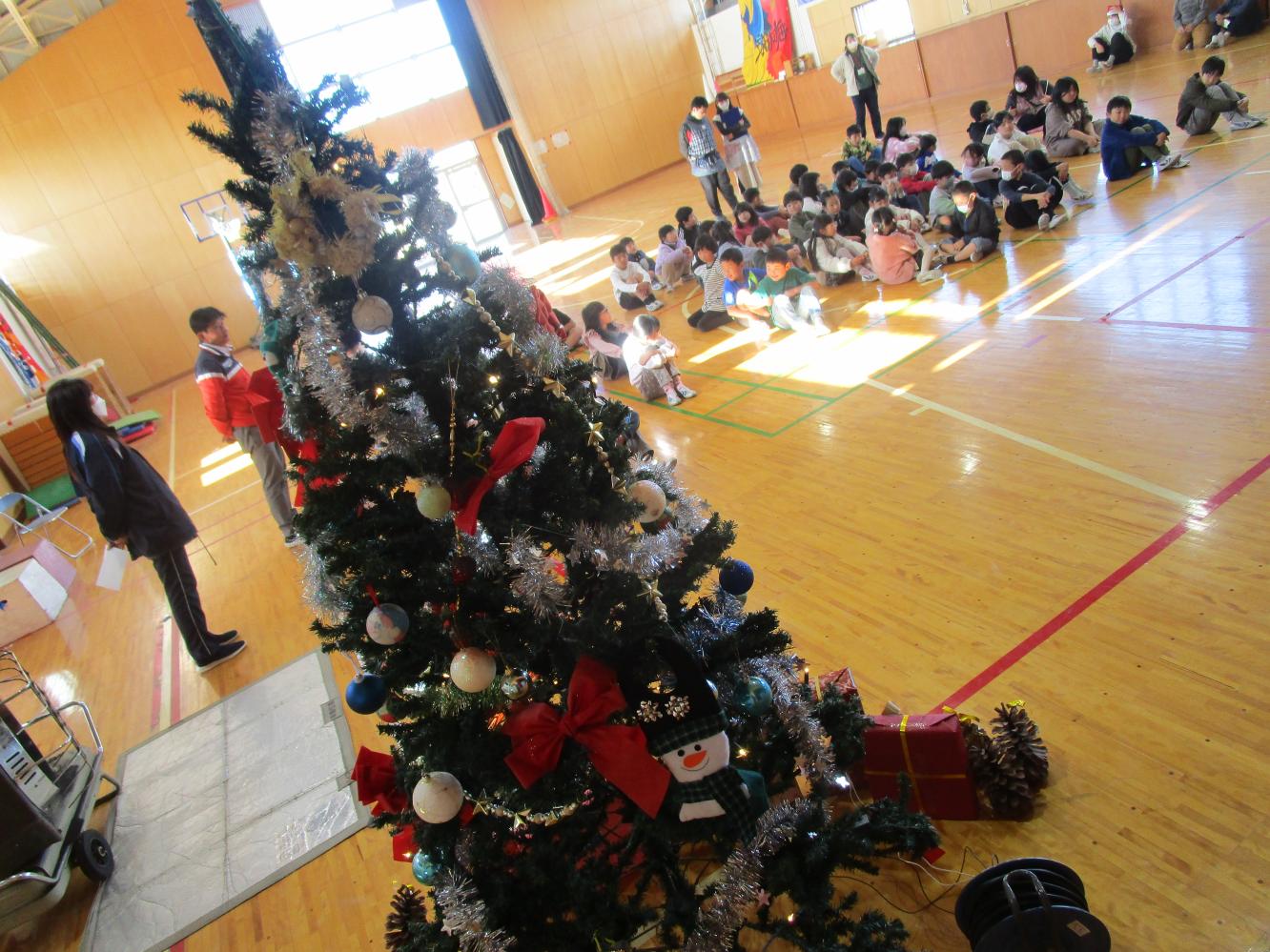 IMG_2255 IMG_2255