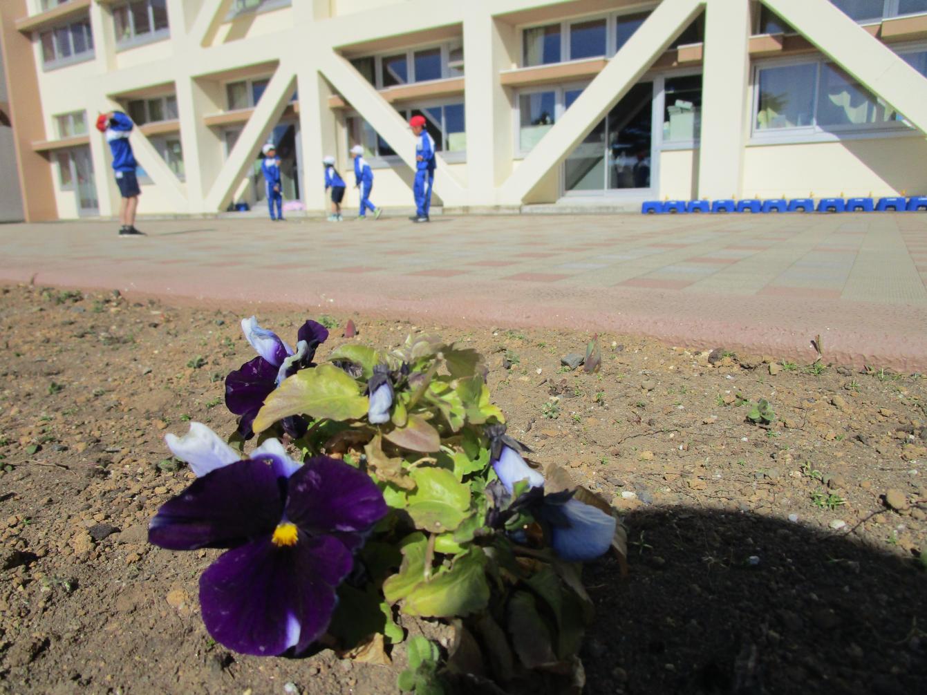 IMG_2600 IMG_2600