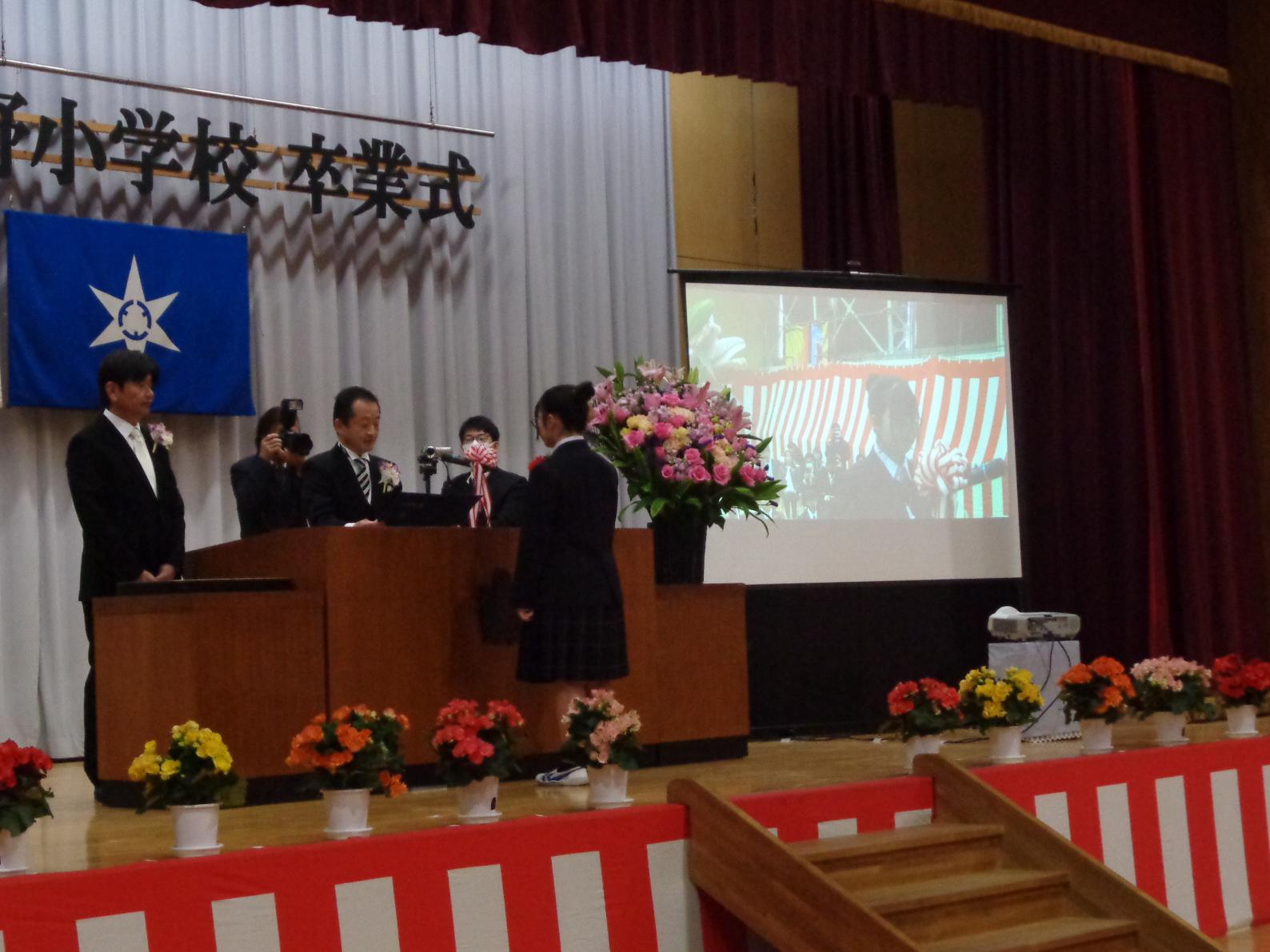 DSC01675 DSC01675