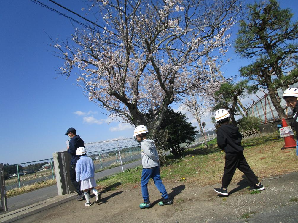 IMG_2757 IMG_2757