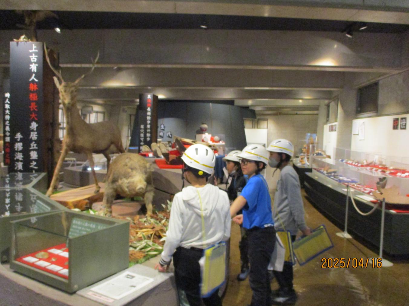 IMG_8248 IMG_8248
