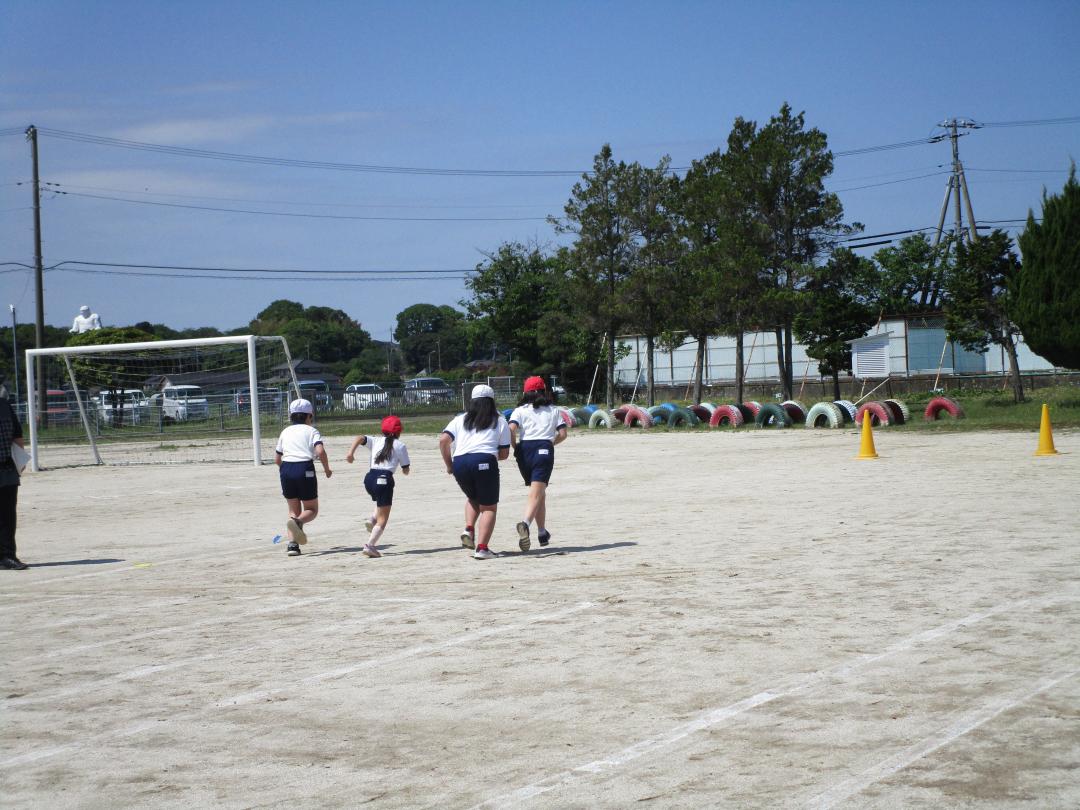 IMG_2906 IMG_2906