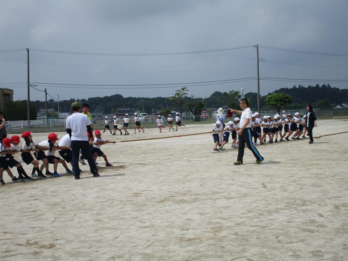 IMG_2930 IMG_2930