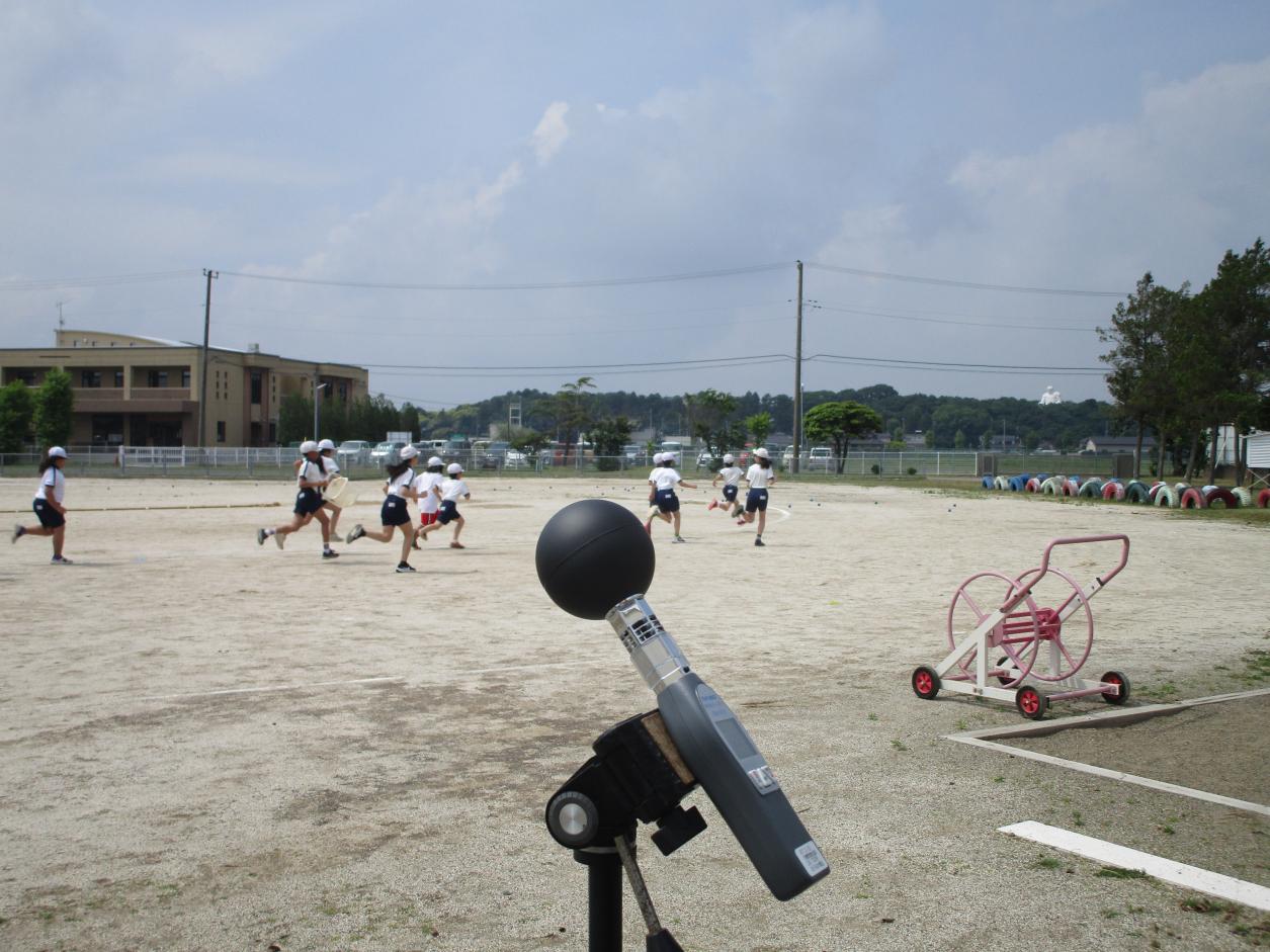 IMG_2933 IMG_2933
