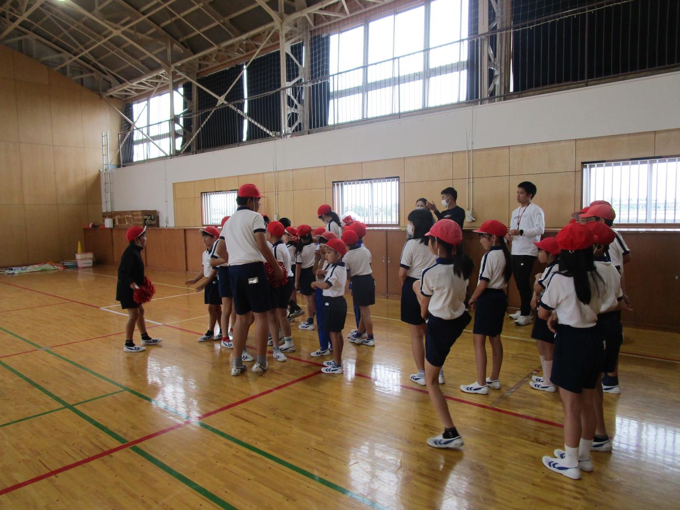 IMG_2955 IMG_2955