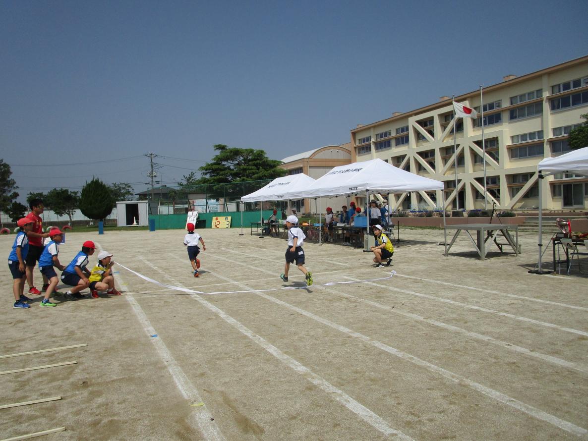 IMG_2967 IMG_2967