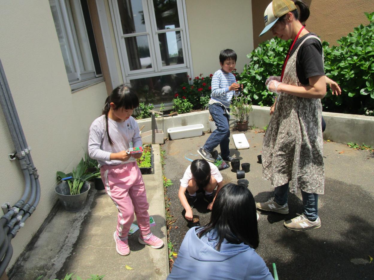 IMG_2977 IMG_2977