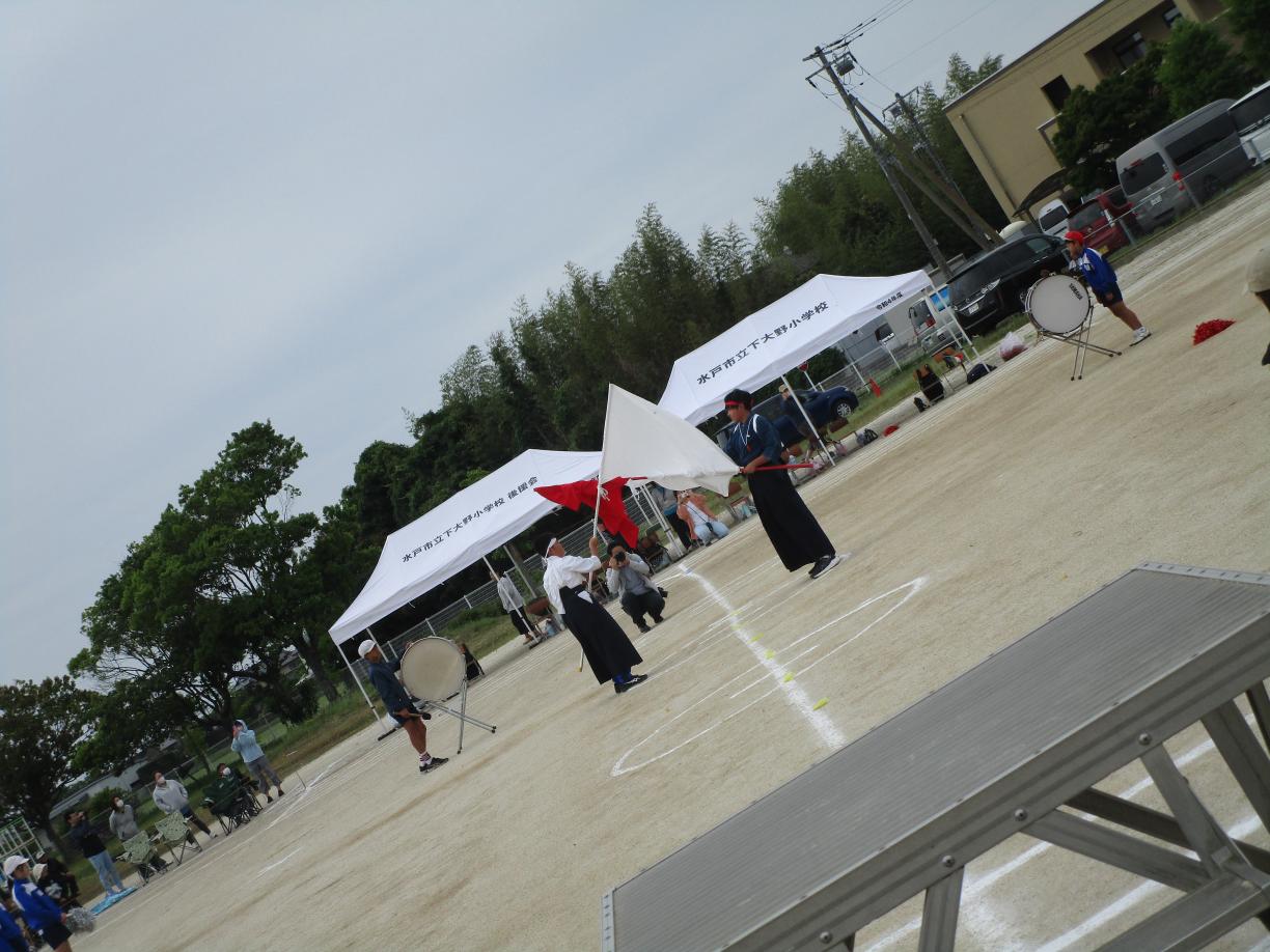 IMG_2995 IMG_2995