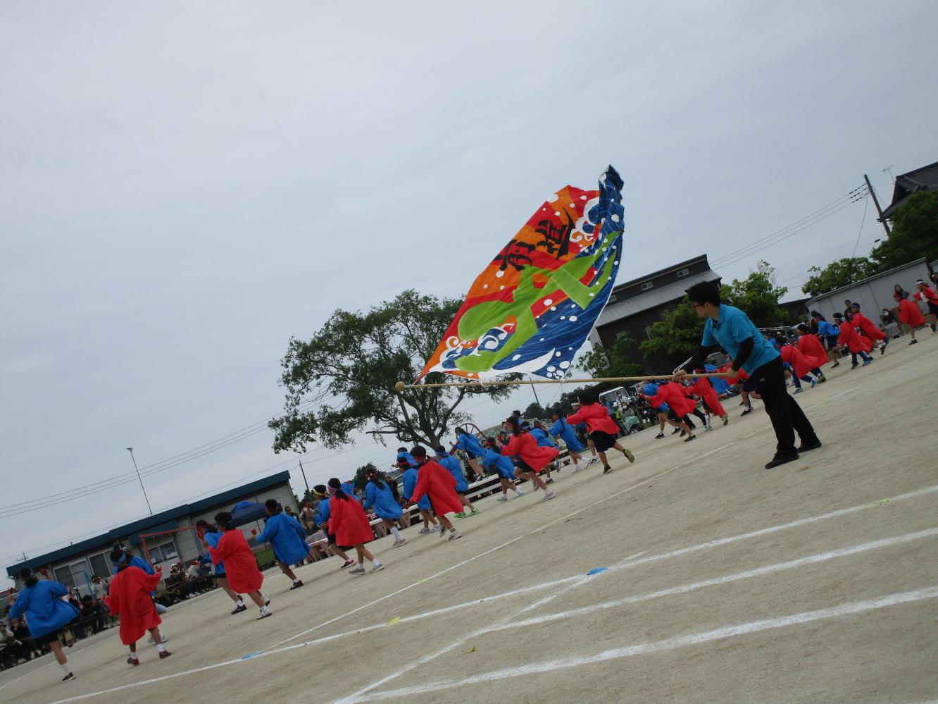 IMG_3005 IMG_3005