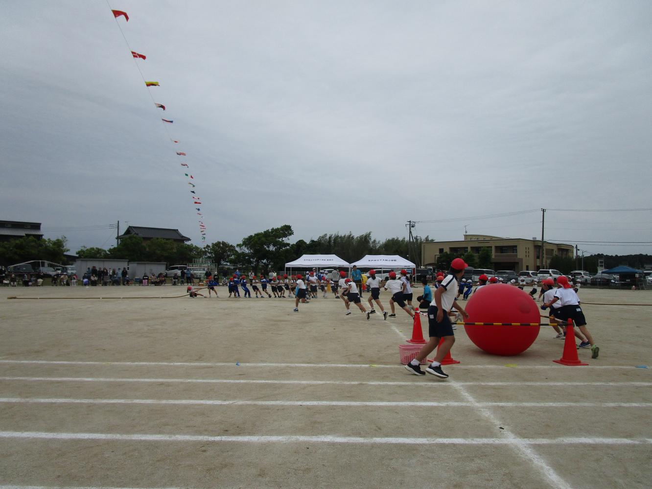 IMG_3014 IMG_3014