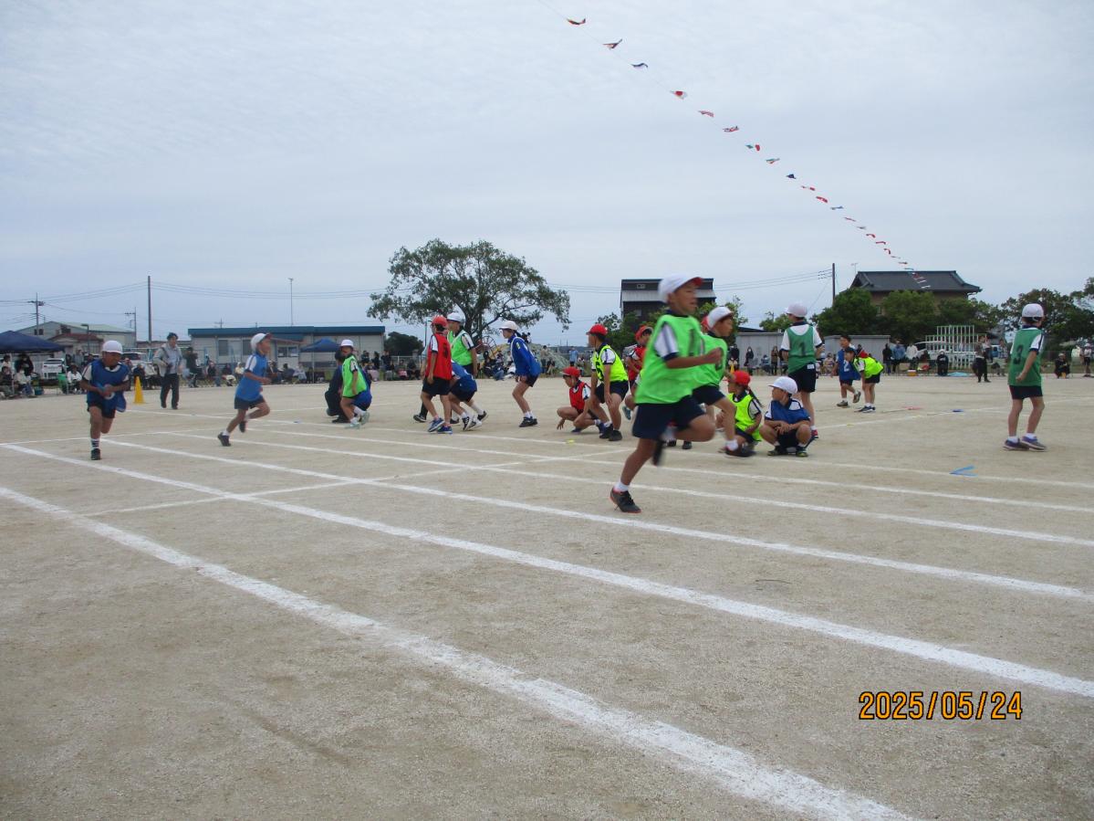 IMG_8595 IMG_8595