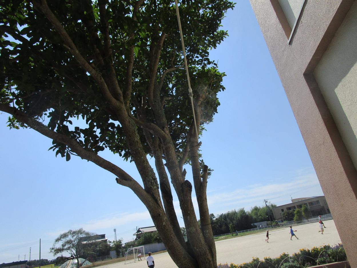 IMG_3416 IMG_3416