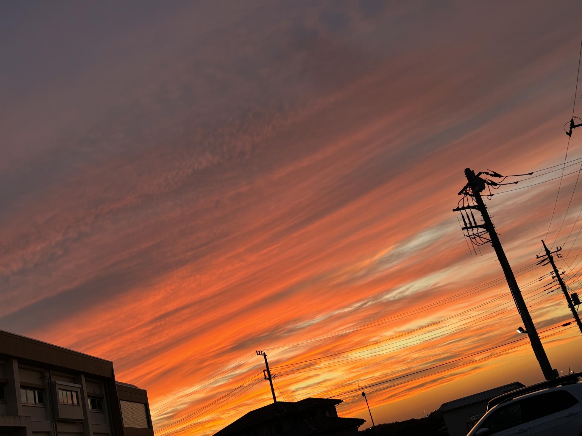 IMG_0090 IMG_0090