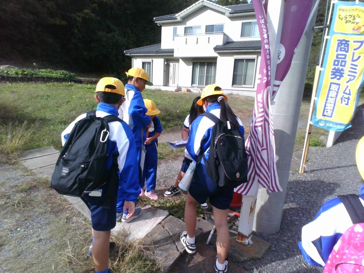 IMG_20251106_134618 IMG_20251106_134618