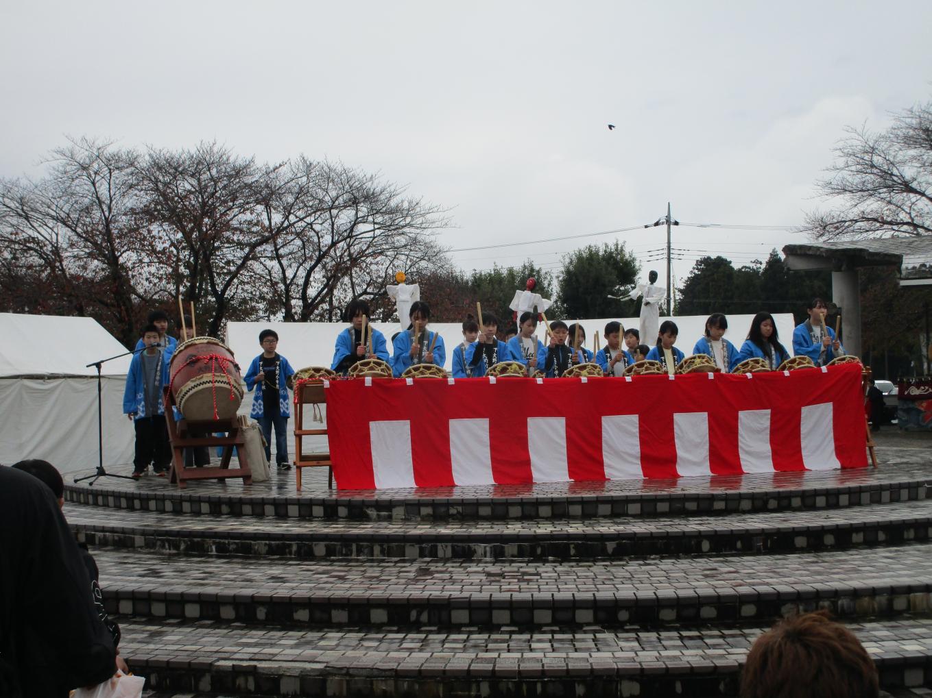 IMG_3768 IMG_3768