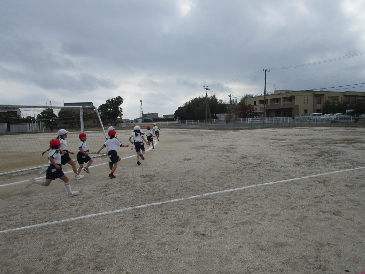 IMG_3942 IMG_3942