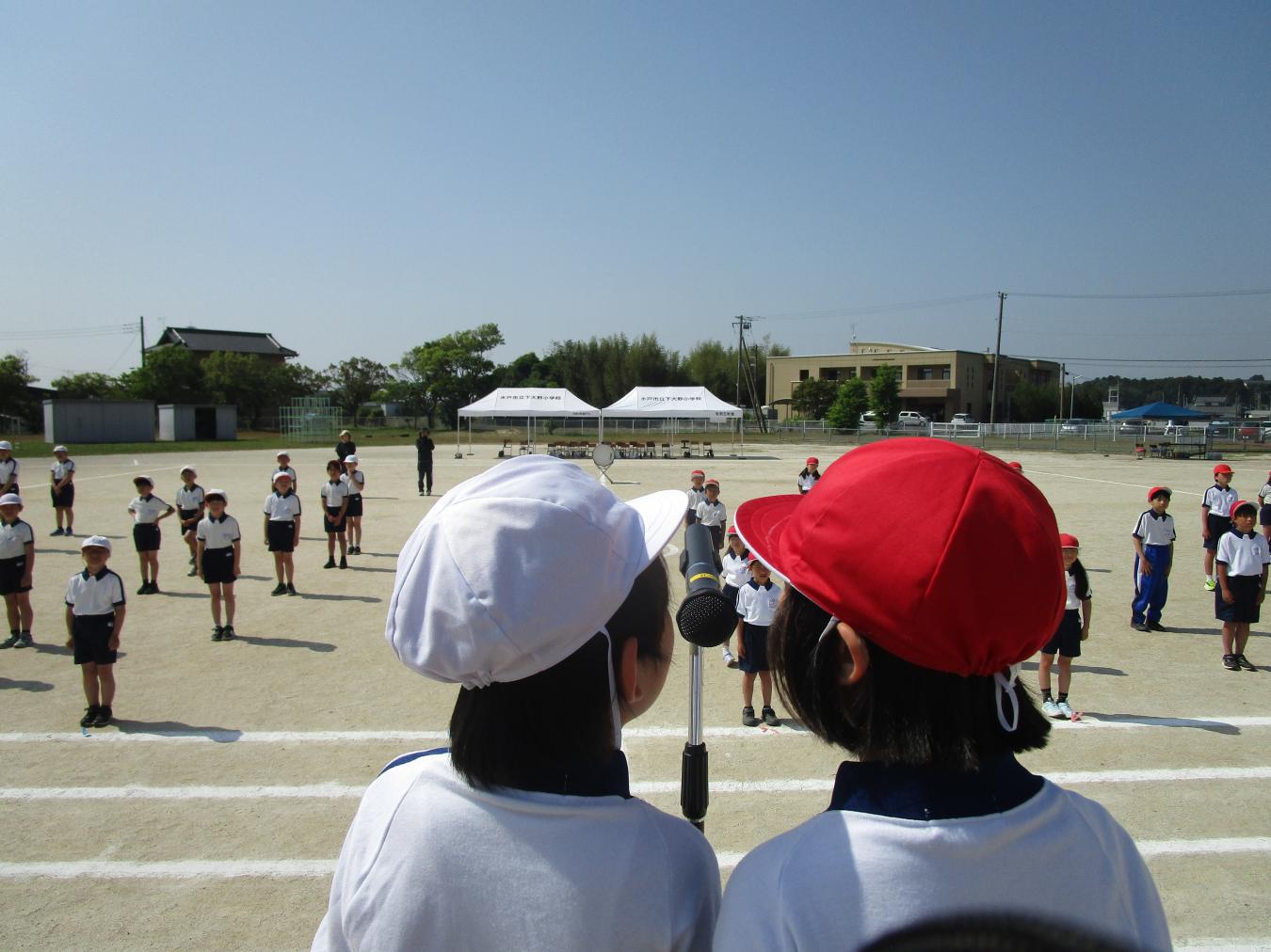 IMG_4798 IMG_4798