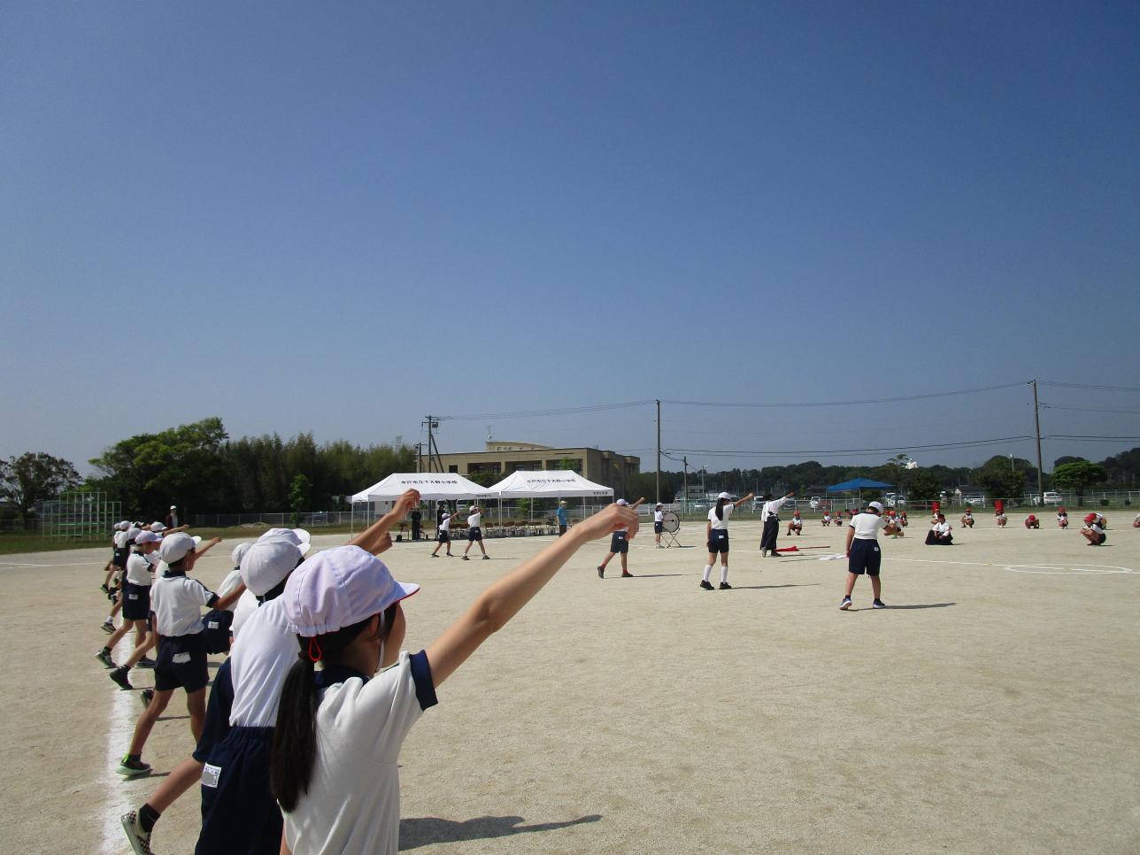 IMG_4810 IMG_4810