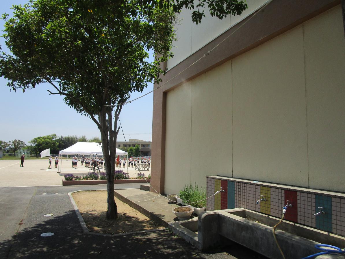 IMG_4816 IMG_4816
