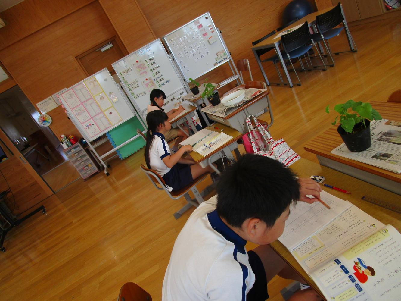 IMG_4880 IMG_4880