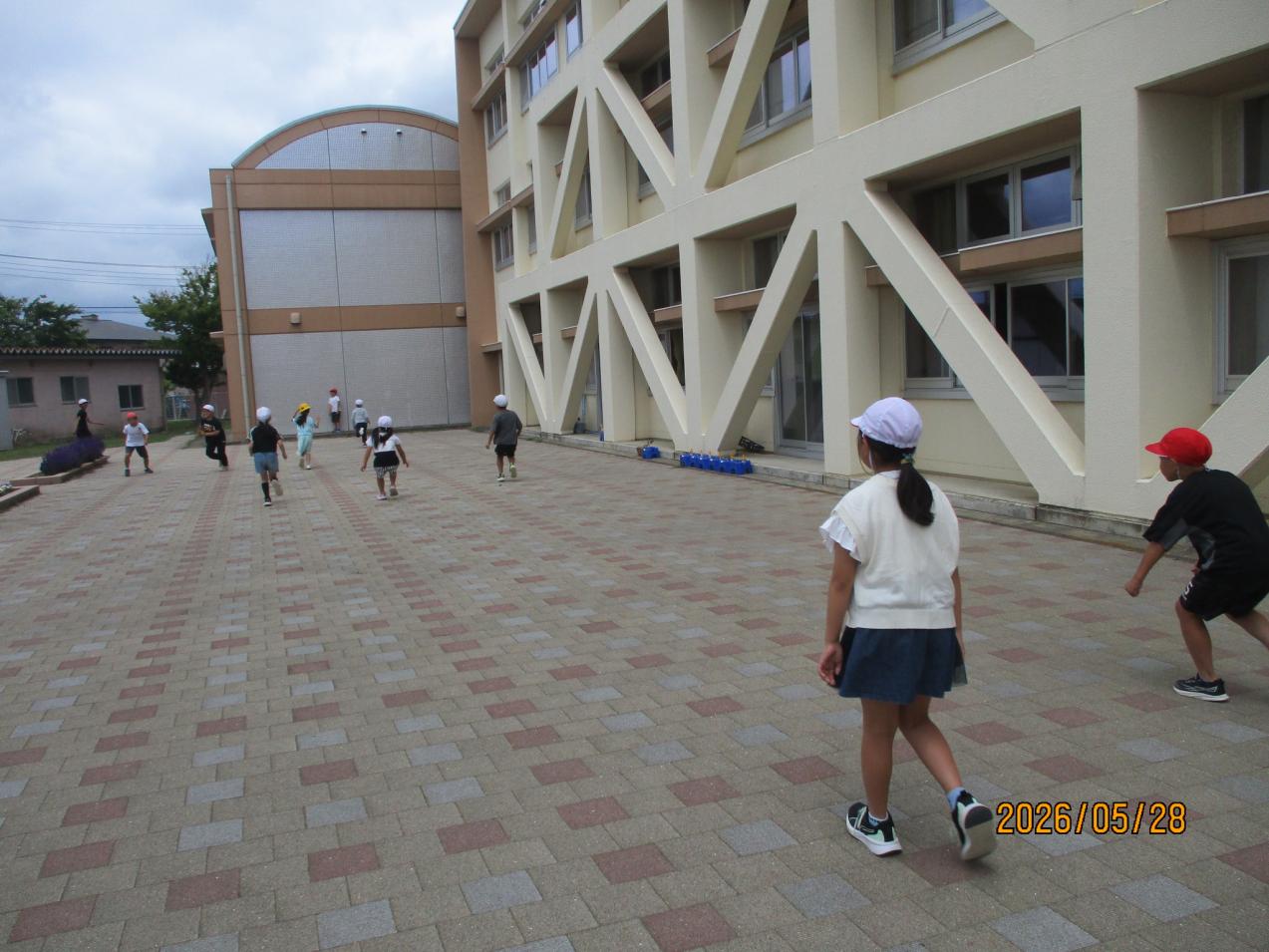 IMG_2305 IMG_2305